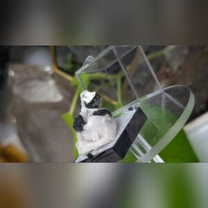 Staknala Tourmaline in Display Case